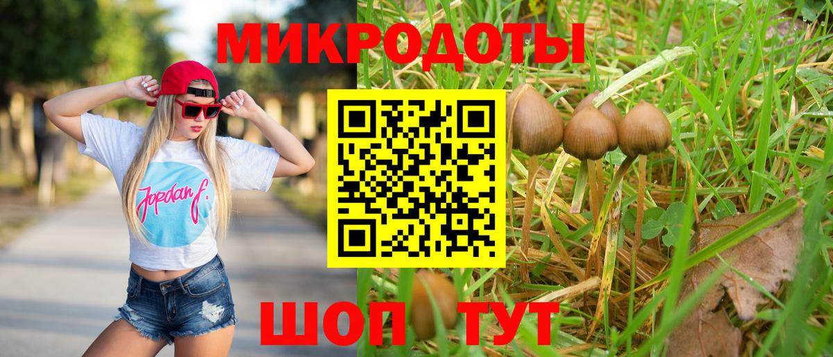 Мирный  Галлюциногенные грибы Psilocybine cubensis  Вход с VPN 