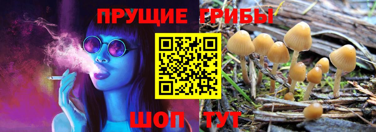 Галлюциногенные грибы ЛСД Мирный